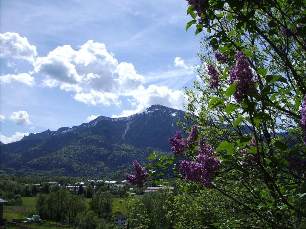 Hotel Leitnerhof Bad Reichenhall Esterno foto