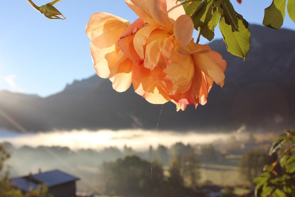 Hotel Leitnerhof Bad Reichenhall Esterno foto
